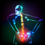 Human backbone in x-ray, back Pain