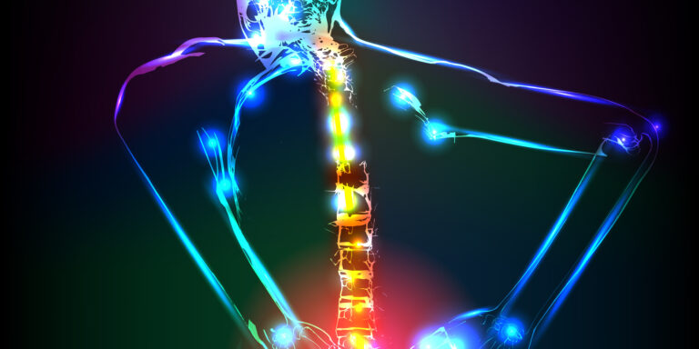 Human backbone in x-ray, back Pain