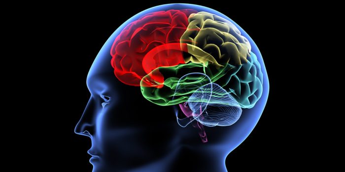 Hypnose thérapeutique paramédicale