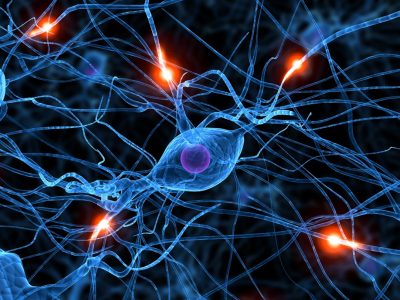 Traitement des douleurs chroniques par les neurosciences Traitement des douleurs chroniques par les neurosciences