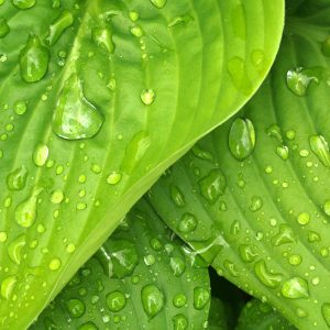 Démarche écologique et environnementale