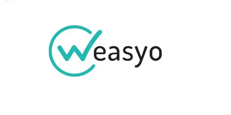logo-1024×441 Weasyo
